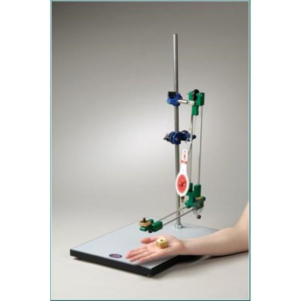Denoyer-Geppert Anatomical Model, Biomechanical Arm Kit 0650-11